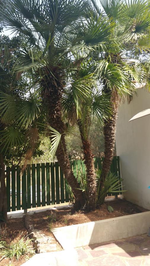 Villa Chabola Дения Экстерьер фото